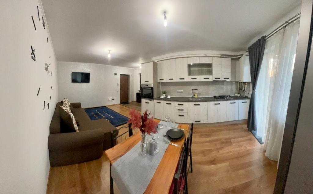 Diana 7 Apartment Cluj-Napoca Ngoại thất bức ảnh